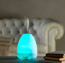 Carica l'immagine nel visualizzatore di Gallery, Diffusore Per Ambienti Con Led Folletto Fumi E Profumi In Plastica PP