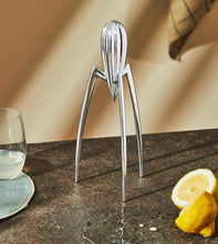 Carica l'immagine nel visualizzatore di Gallery, Spremiagrumi in fusione di alluminio