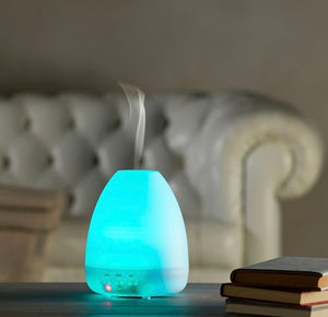Diffusore Per Ambienti  Con Led Folletto Fumi  E Profumi In Plastica PP